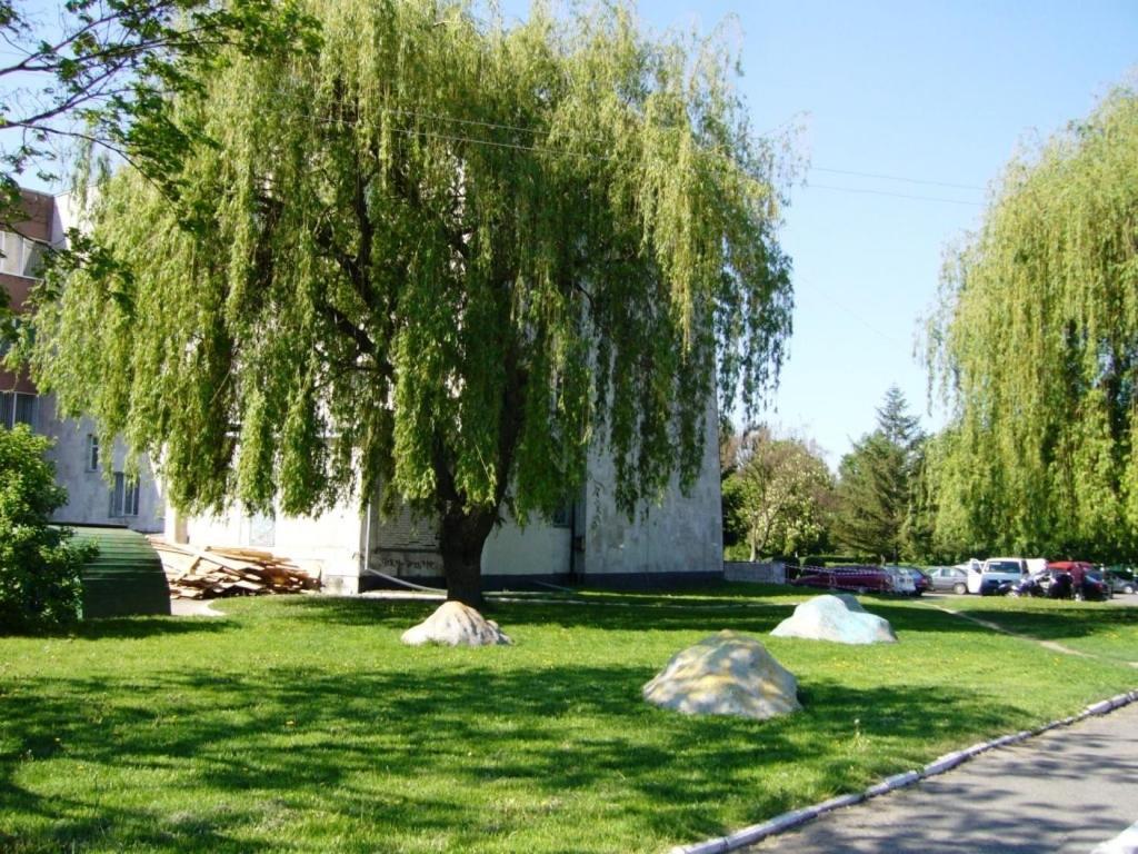 Hotel Profspilkovyi Łuck Zewnętrze zdjęcie